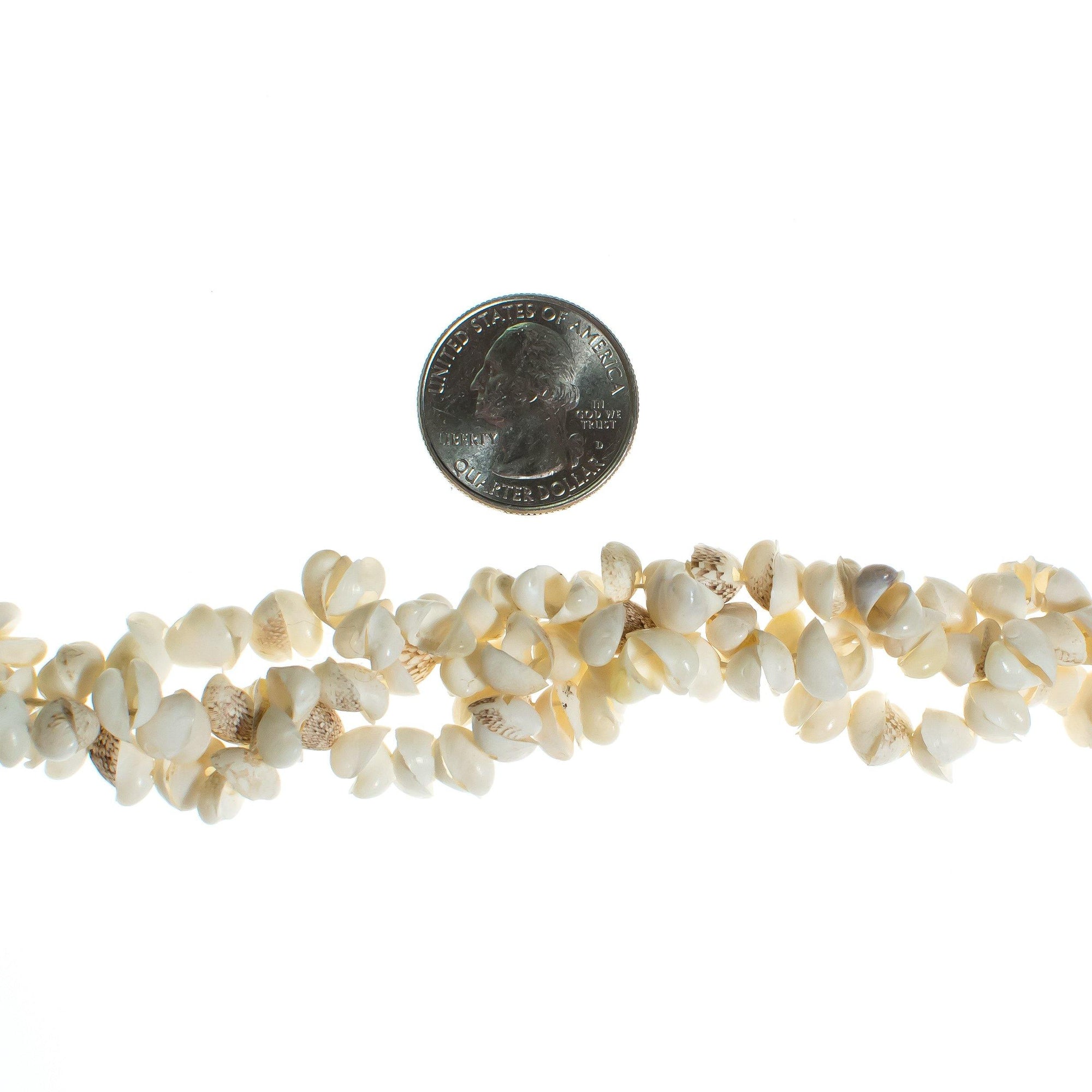 Vintage White Shell Bracelet by Vintage Meet Modern - Vintage Meet Modern Vintage Jewelry - Chicago, Illinois - #oldhollywoodglamour #vintagemeetmodern #designervintage #jewelrybox #antiquejewelry #vintagejewelry