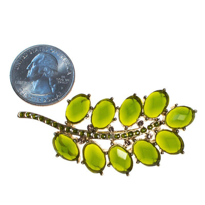 Vintage Olive Green Rhinestone Branch Brooch, Gold Tone Setting, Brooches and Pins by 1960s - Vintage Meet Modern Vintage Jewelry - Chicago, Illinois - #oldhollywoodglamour #vintagemeetmodern #designervintage #jewelrybox #antiquejewelry #vintagejewelry